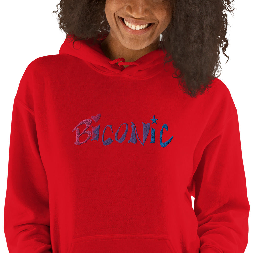 Unisex Hoodie embroidered